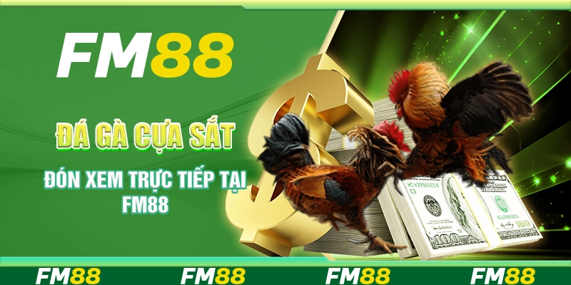 Đá Gà Cựa Sắt - Đón Xem Trực Tiếp Tại Nền Tảng FM88