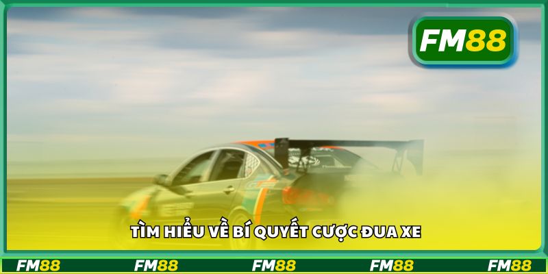 Tìm hiểu về bí quyết cược đua xe
