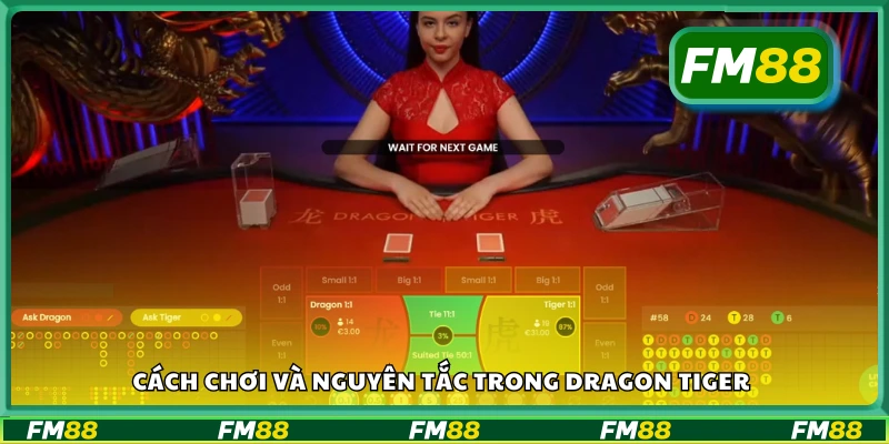 Hướng dẫn cách chơi và nguyên tắc trong Dragon Tiger