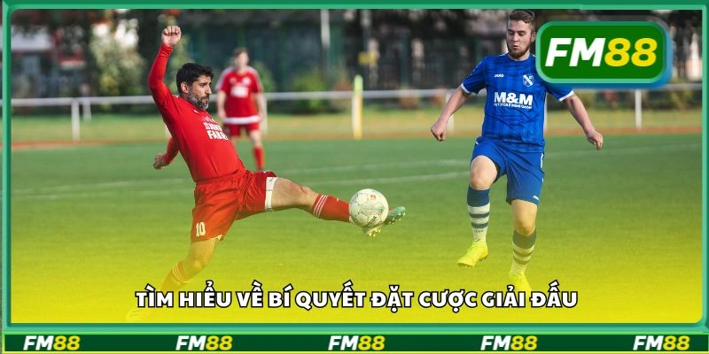 Tìm hiểu về bí quyết đặt cược giải đấu