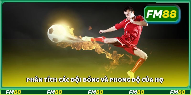 Phân tích các đội bóng và phong độ của họ