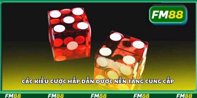 Các kiểu cược hấp dẫn được nền tảng cung cấp